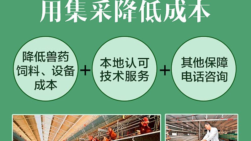 引物合成，从基础到关键步骤解析**