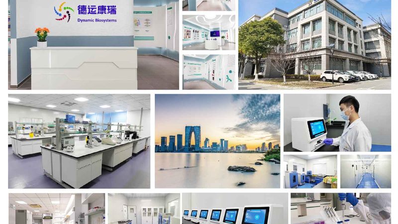 重组抗体：揭秘上海生产服务的关键要素**