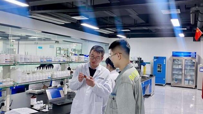 中国CDMO龙头企业分类解析：揭秘行业领军者