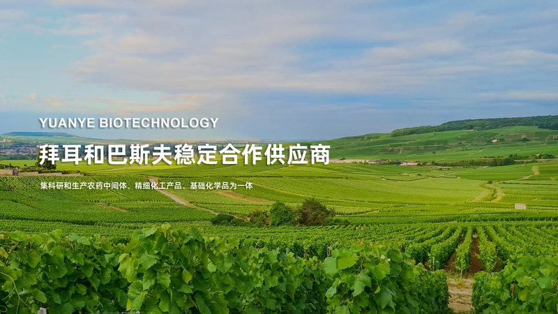 实验室耗材规格型号大全