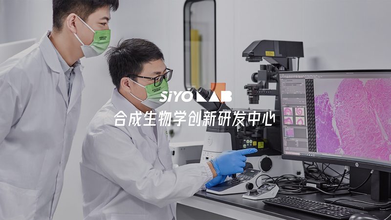 离心管定制：质量标准解析与关键要点