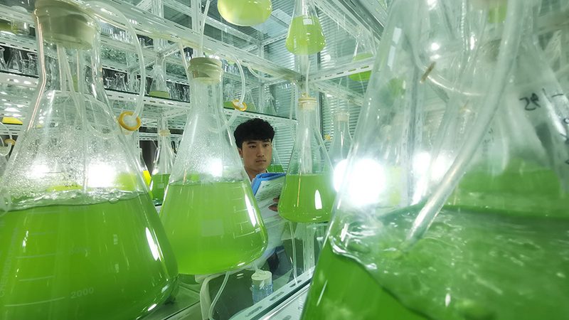 生物医药投资，风险评估先行——揭秘北京项目风险机构**